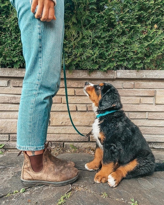 blue deim and brown boots