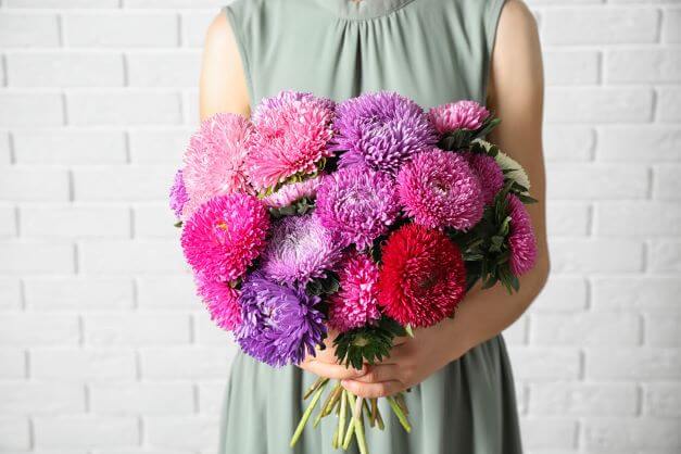 bouquet of aster flowers