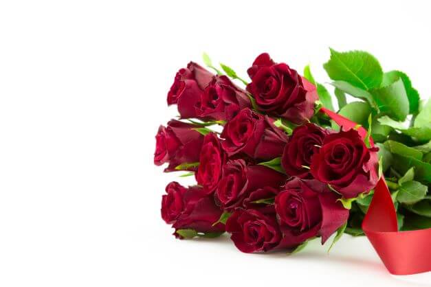 dozen red roses
