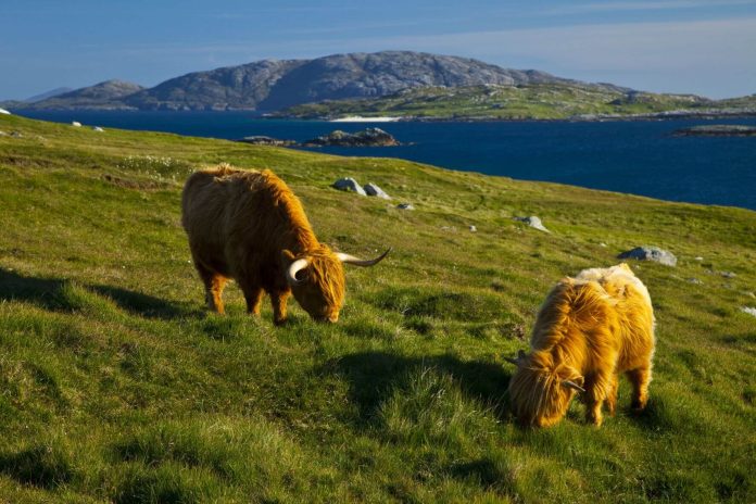Things to do in the Outer Hebrides