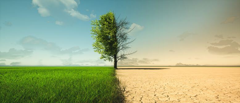 hightlighting the impacts of climate change on the land
