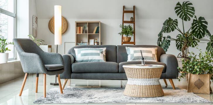 plants in living room