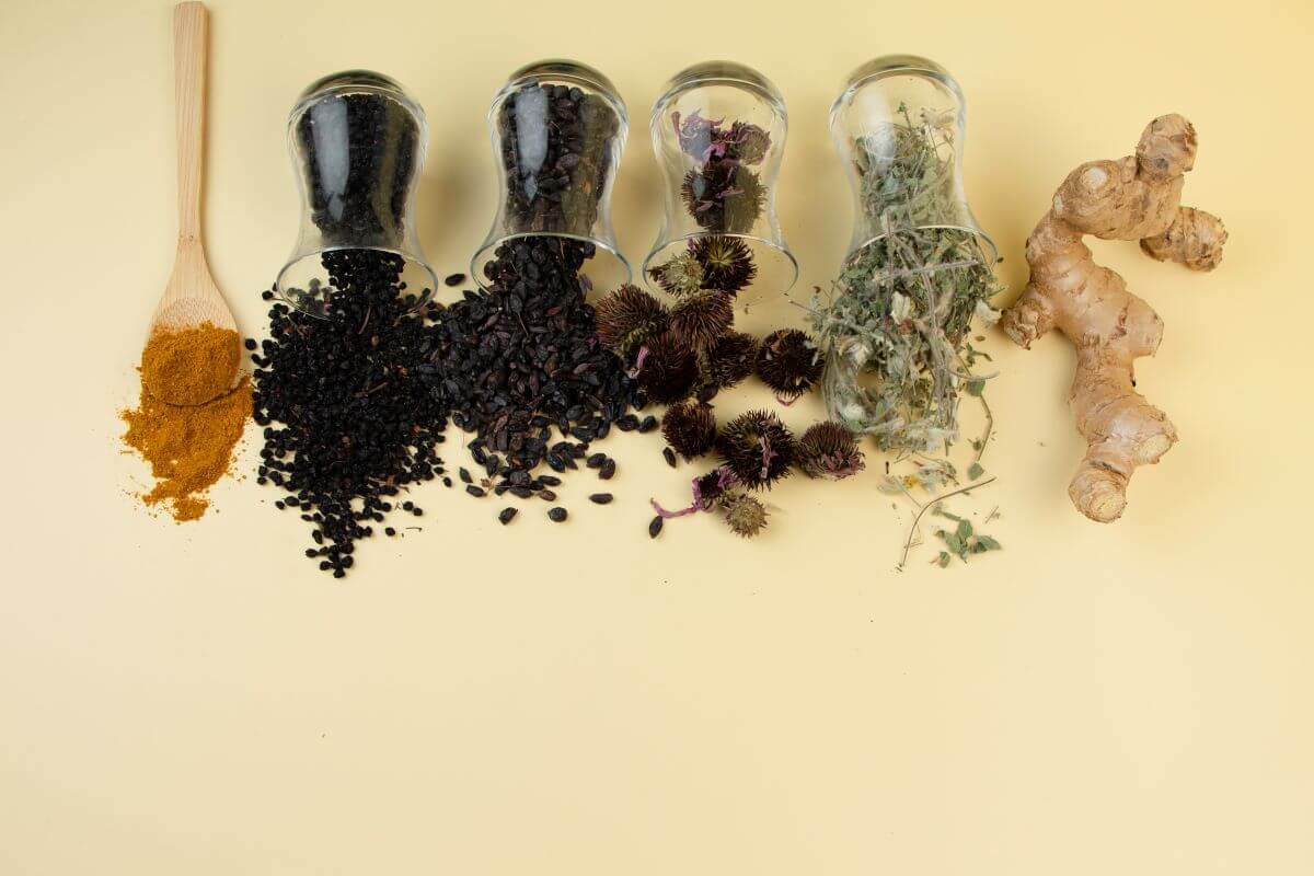 Turmeric elderberry barberry astragalus echinacea ginger